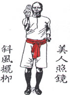 Ving Tchun -Tan Sao